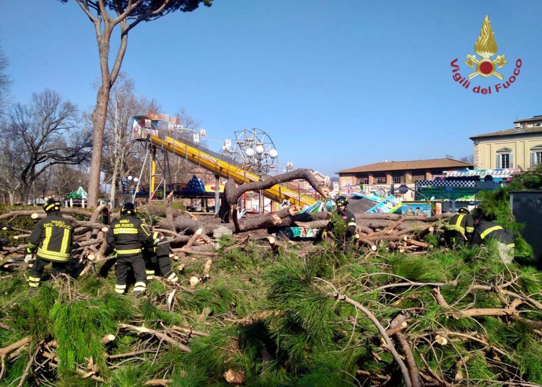 Albero caduto sulle giostre a Firenze