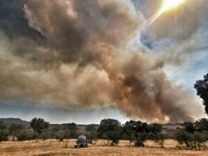 Cinigiano incendio 2022