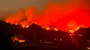 Massarosa incendio 2022