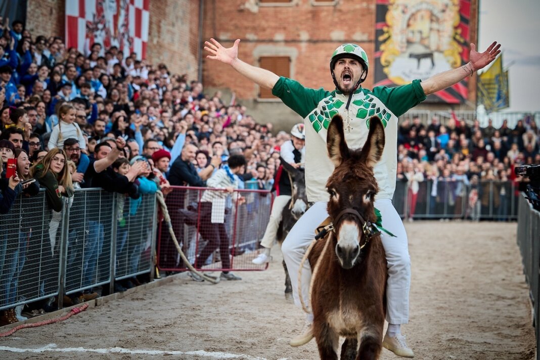 Alla Contrada Cavone il Palio dei Somari di Torrita di Siena