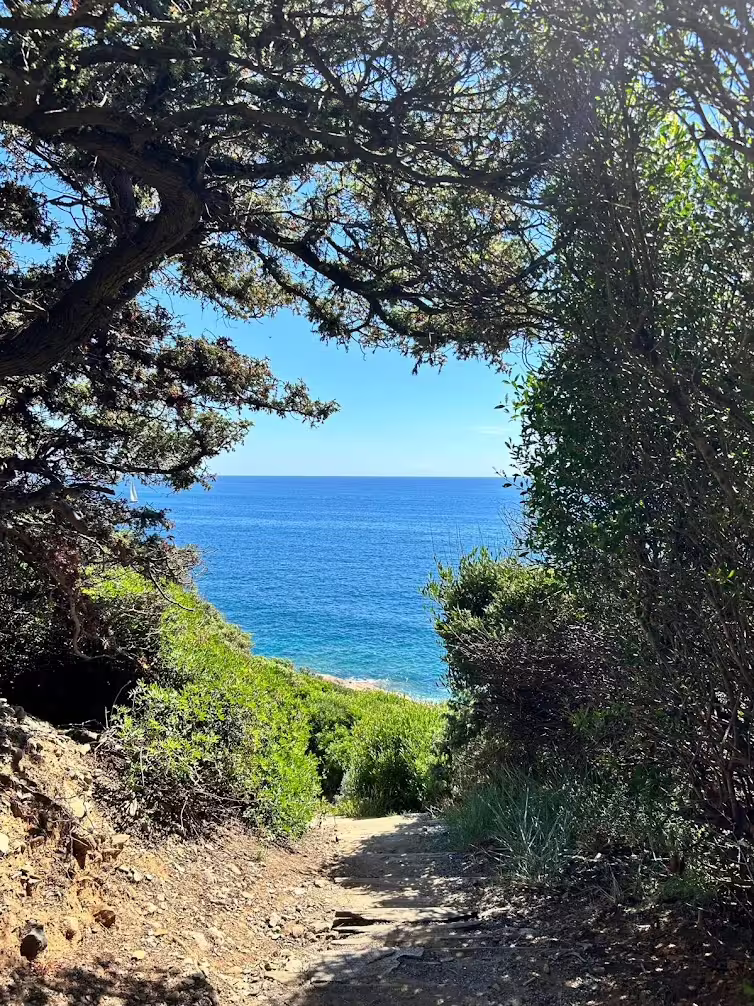 Mare dall'elba