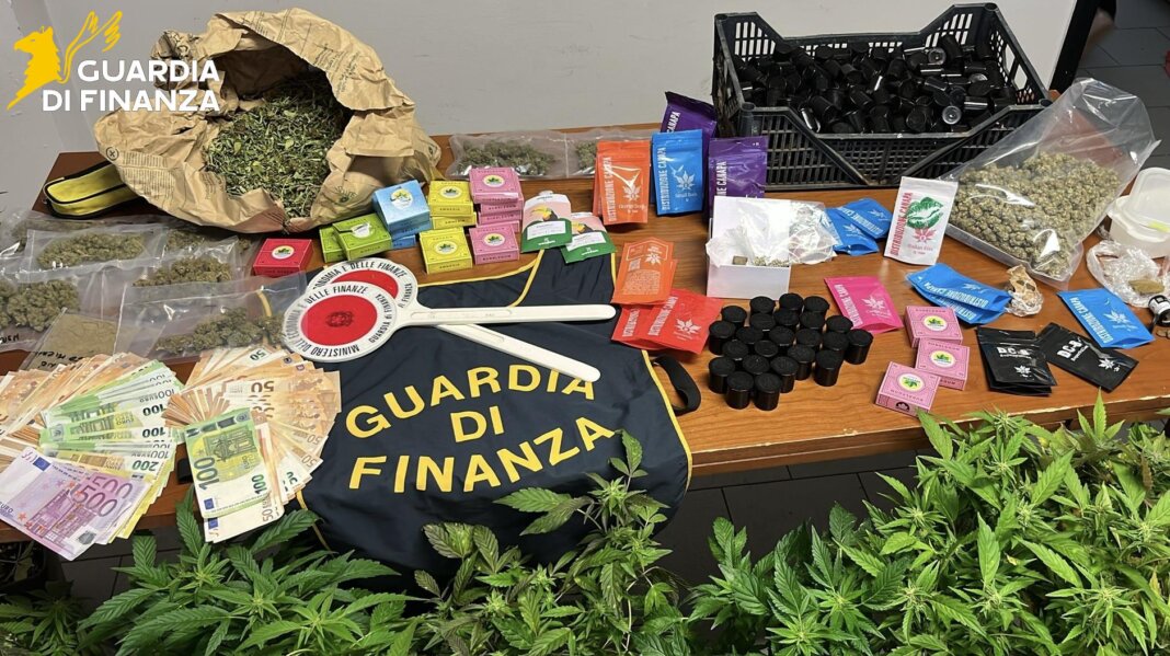 Ai domiciliari produce sostanze stupefacenti pronte allo spaccio: sequestrati droga e piante