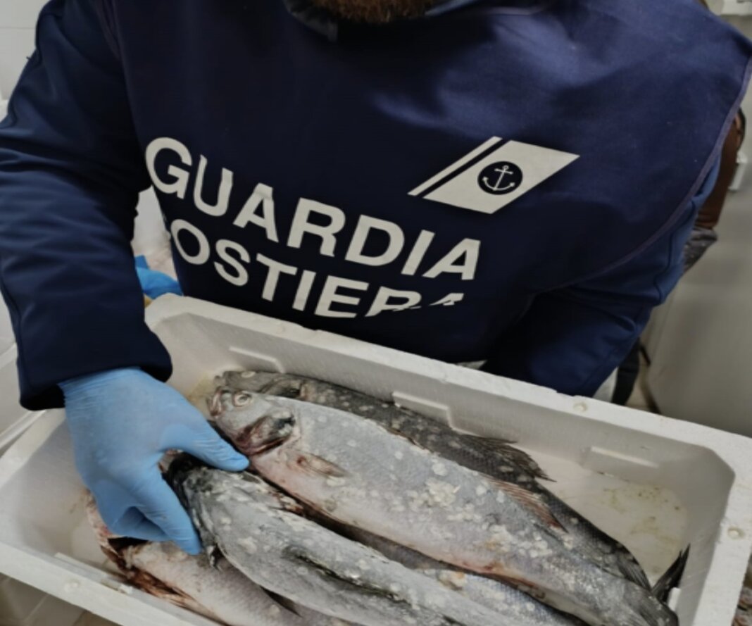 Scarsa igiene, niente tracciabilità e scorretta conservazione del pesce: chiuse due pescherie e un ristorante