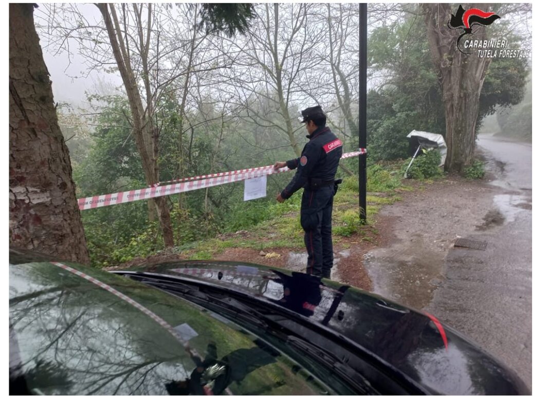 Usa il bosco come discarica: denunciato il titolare di una impresa edile