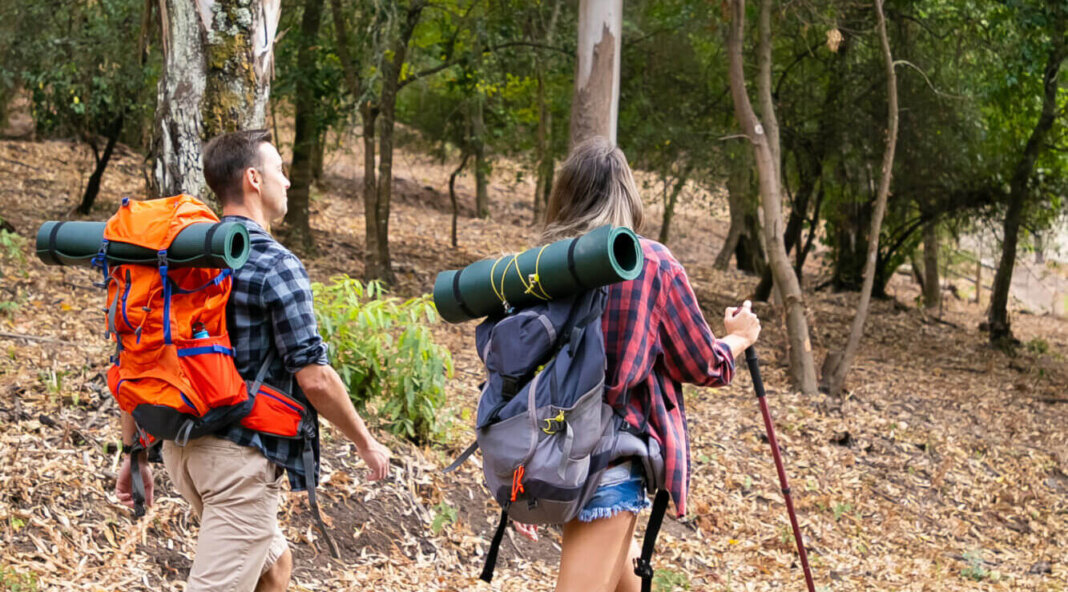 Via Francigena