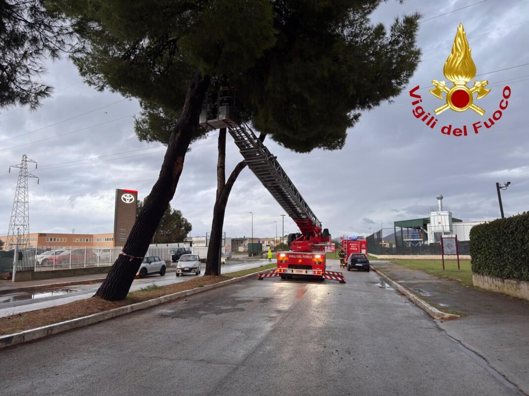 Alberi pericolanti e auto bloccate: superlavoro dei vigili del fuoco per il maltempo a Grosseto