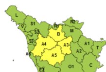 Vento forte, giovedì con l’allerta gialla sulle colline centro-meridionali