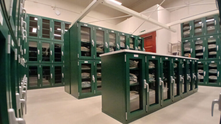 Un archivio mondiale a portata di click: completata la mappatura dell’Erbario pisano